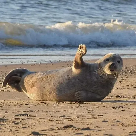 Apartman Lisi Jar Jastrzębia Góra