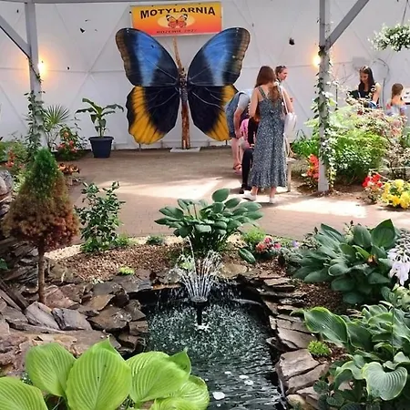 Lisi Jar * Jastrzębia Góra