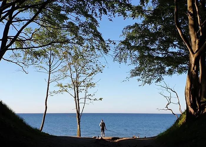 Lisi Jar Lägenhet Jastrzębia Góra