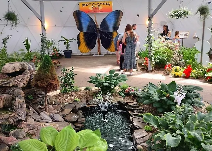 Lisi Jar * Jastrzębia Góra