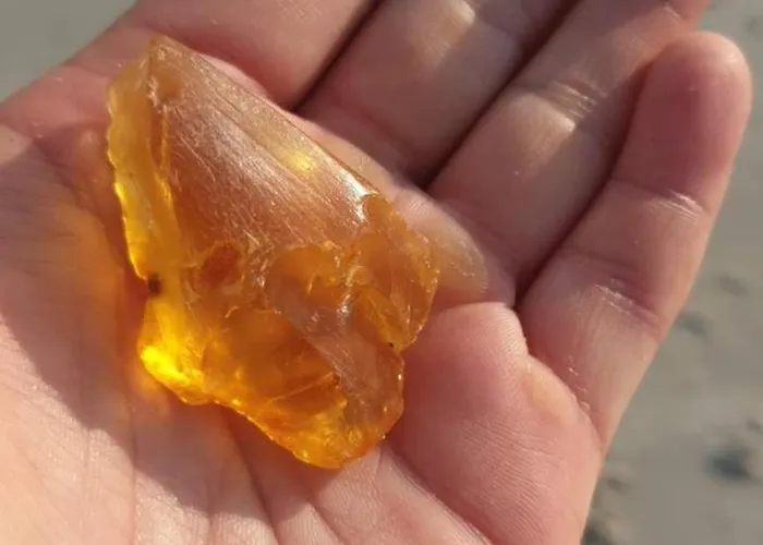 Lägenhet Lisi Jar Jastrzębia Góra